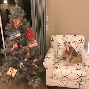 Meet your Posher, Shirley